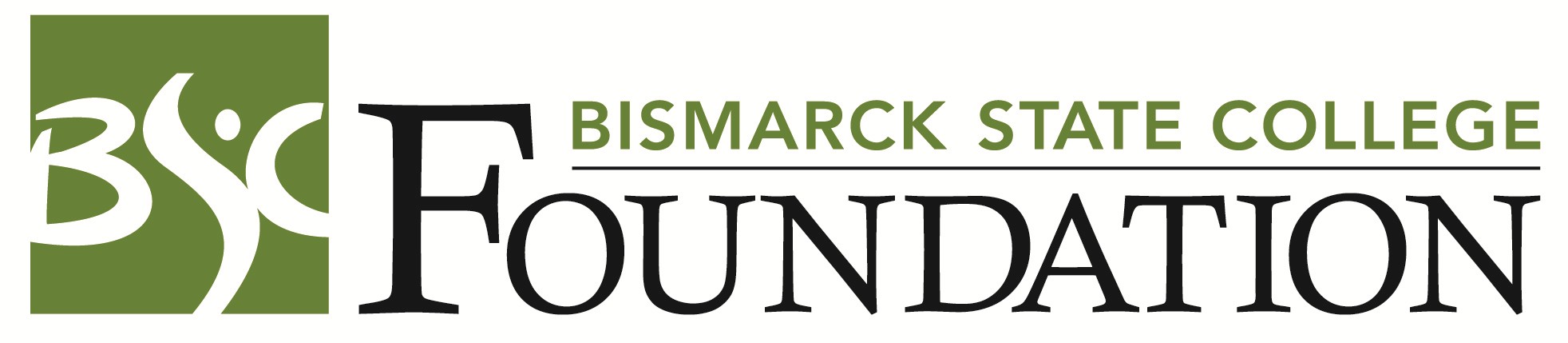 BSC Foundation logo